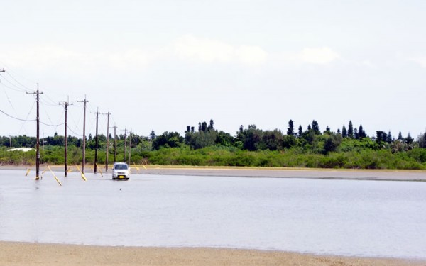 【由布島】水牛車で渡ってみた
