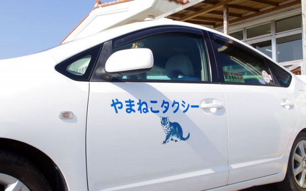 【西表島】やまねこタクシー