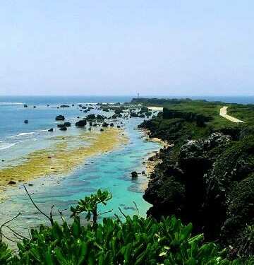 東平安名崎☆ゆりが見ごろです！（宮古島）