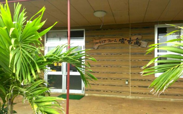 観光農園ユートピアファーム宮古島