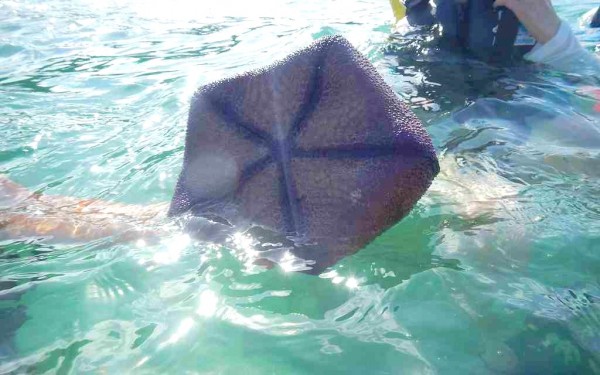 今年6年連続の沖縄。ナビービーチで遊びました。｜沖縄旅の思い出ﾌｫﾄｺﾝﾃｽﾄ