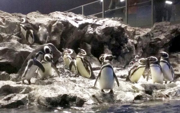 番外編~THE東京観光その1~