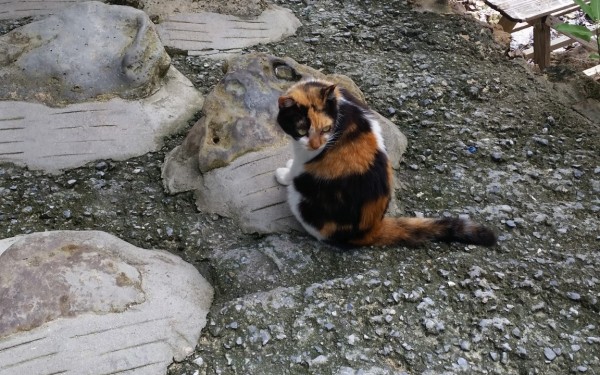 浜辺の茶屋(南城市)