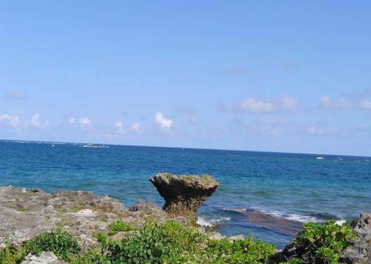 奥武島で、イカの洗濯物?