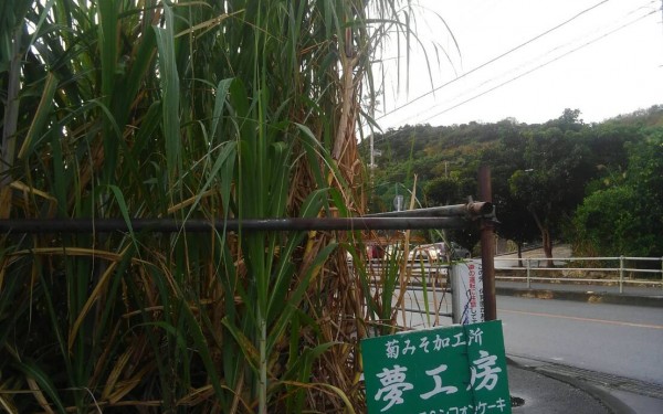 お味噌屋さんのシフォンケーキ　夢工房（八重瀬町）