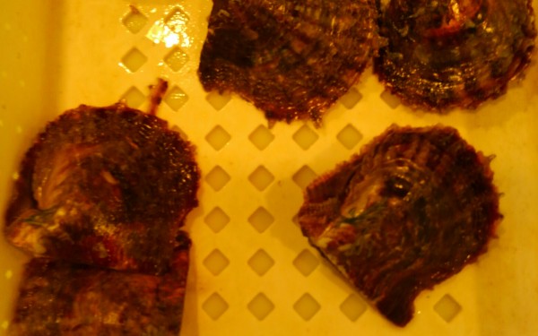 ワンコインで真珠出し体験。真珠工房マザーシー（那覇市）