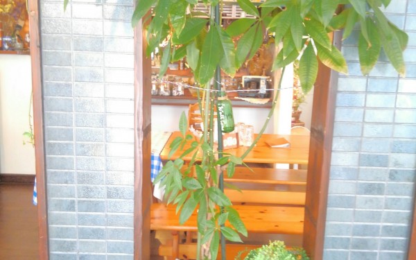 モーニングから、ディナーまでやってる　ひょうたんカフェ（八重瀬町）