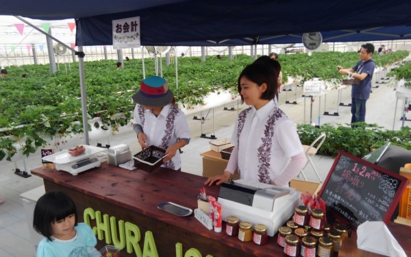 南部でイチゴ🍓狩り　美らイチゴ（糸満市）