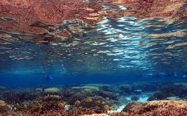 最強コースだ！宮古島→伊良部島→下地島　天然の水族館『中の島ビーチ』でシュノーケリング♪