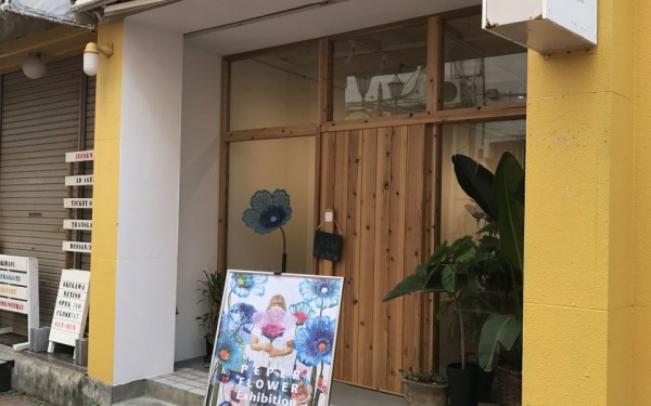 .珊瑚礁をイメージしたペーパーフラワー展