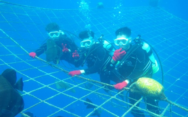 間近で見たジンベイザメ。迫力に圧倒されました！｜沖縄旅の思い出ﾌｫﾄｺﾝﾃｽﾄ