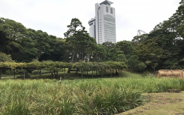 【番外編】ぶらり東京散歩☆小石川後楽園