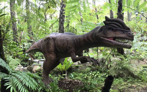 DINO恐竜PARKやんばる亜熱帯の森（名護市）