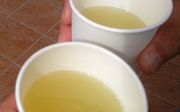 おいしいパン　パンチョリーナ（名護市）