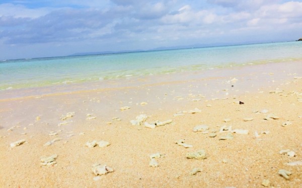 年始の冬シーズンの旅行だったけど、すごい快適でした♪|沖縄旅の思い出フォトコンテスト