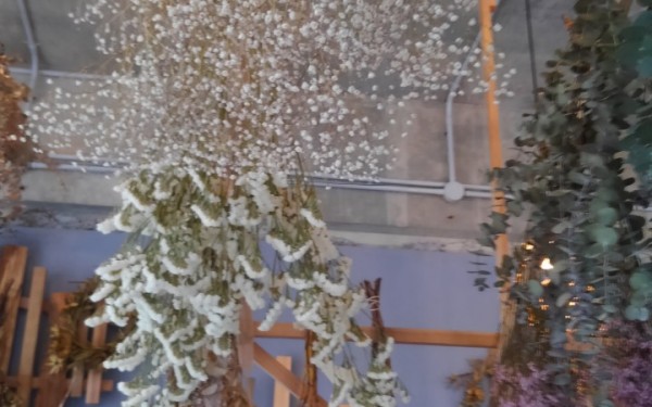カフェ？花屋さん？ムックのとなり（糸満市）