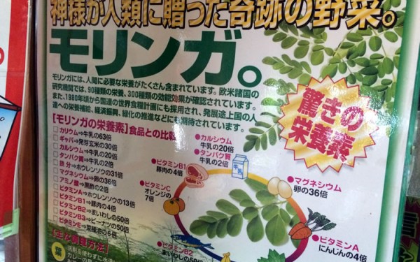 【閉店】うおうお別亭「木灰（もっかい）そば」で『モリンガそば』を食べる！（北谷町）