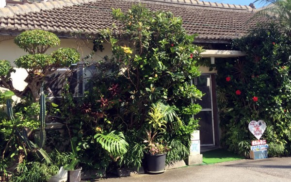 何故だ？『新山そば』で一番人気のてびちそばじゃなくて野菜そばを食べる？（名護市）