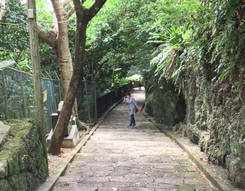 古くからあるものと自然の造形にこそ沖縄の魅力がある|沖縄旅の思い出フォトコンテスト