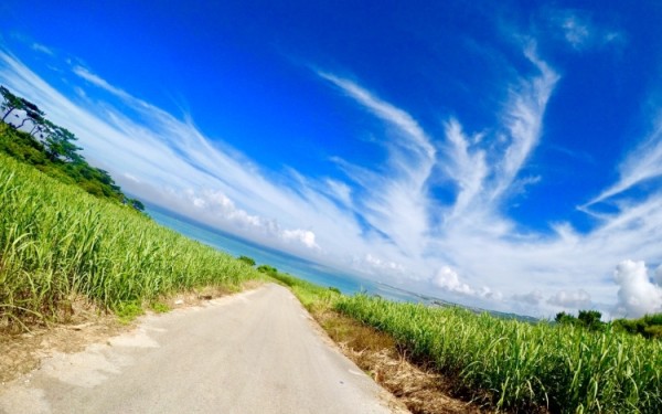 何気ない道でさえ、とても素敵。どこまでも美しい島　久米島｜沖縄旅の思い出ﾌｫﾄｺﾝﾃｽﾄ