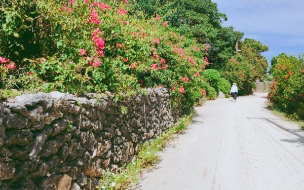 綺麗な景色にとことん癒されます｜沖縄旅の思い出ﾌｫﾄｺﾝﾃｽﾄ