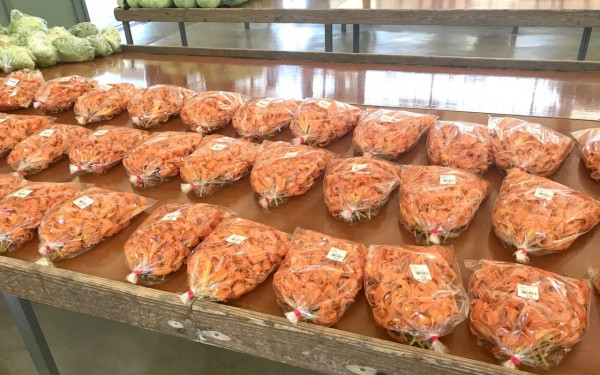 軽便駅かりゆし市(南城市)