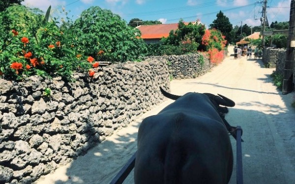 いやなことを全部忘れてのんびりできる最高な島｜沖縄旅の思い出ﾌｫﾄｺﾝﾃｽﾄ