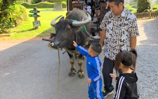 トゥクトゥク最高でした！子供達もまた沖縄行きたいと言っていました｜沖縄旅の思い出ﾌｫﾄｺﾝﾃｽﾄ