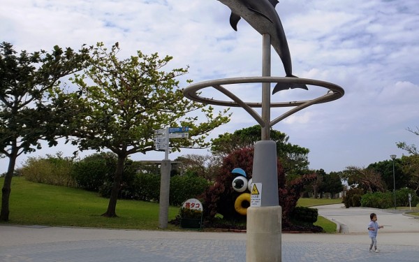 何回行っても楽しい　ちゅら海水族館(本部町)