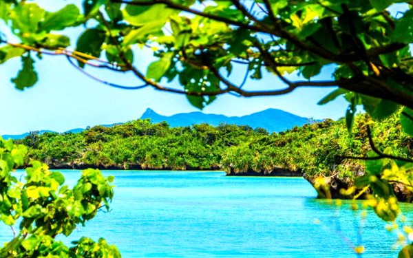 川平湾で海遊びしよう!グラスボートだけじゃない石垣島川平湾の楽しみ方はこれだ!