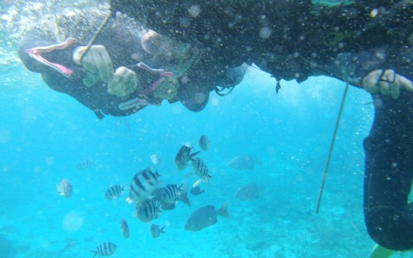 今回３回目の沖縄家族旅行、次回が今から楽しみ。沖縄最高！｜沖縄旅の思い出ﾌｫﾄｺﾝﾃｽﾄ