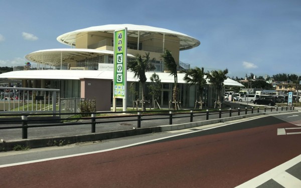 道の駅ぎのざで水遊び