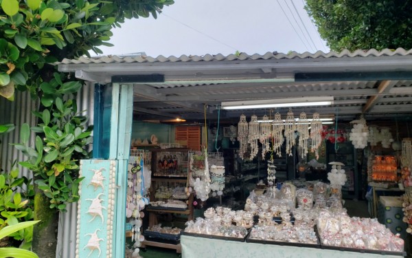 県下最大の貝がらの店　丸仲工芸(本部町)