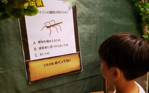 夏休み せかいの昆虫展(沖縄市)