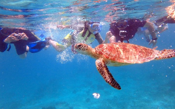 宮古島の海の美しさに感動～～。苦手だった海が大好きになりました｜沖縄旅の思い出ﾌｫﾄｺﾝﾃｽﾄ