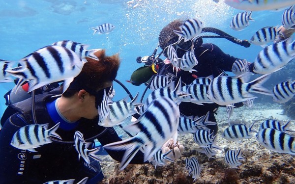 水温も全く気にならず楽しく体験。ダイビングにはまりました！｜沖縄旅の思い出ﾌｫﾄｺﾝﾃｽﾄ