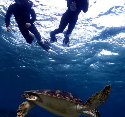 この石垣島ウミガメシュノーケルツアーをオススメする理由？完全貸切ツアーで気兼ね無く存分に楽しめるから！