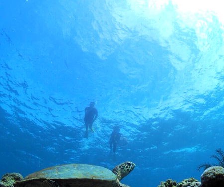 この石垣島ウミガメシュノーケルツアーをオススメする理由？完全貸切ツアーで気兼ね無く存分に楽しめるから！