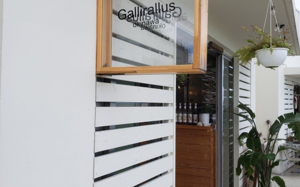 食べられる、お花のゼリーが入ったソーダドリンクが頂ける店　Gallirallus okinawa [瀬長島]