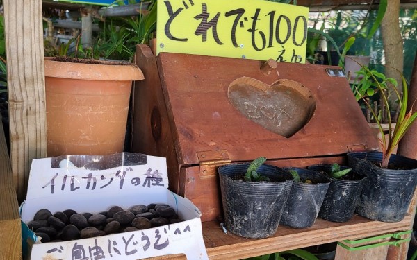 値札のない園芸店　[糸満市]