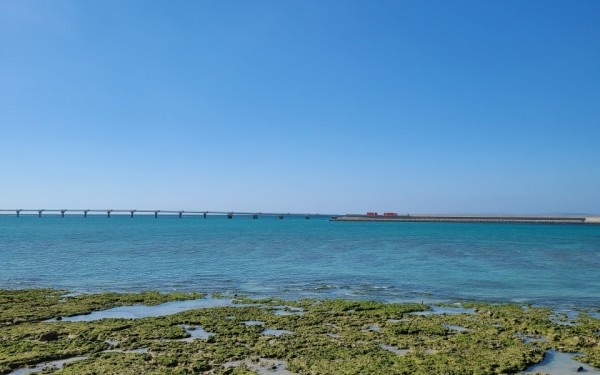 海を眺めながら沖縄料理　美食テラス　[豊見城市]