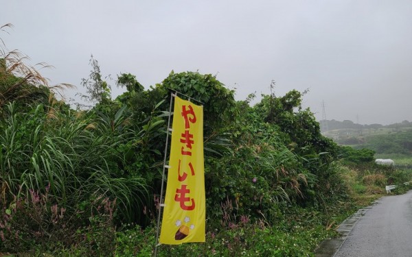 名前のない、美味しい焼き芋屋さん　[糸満市]