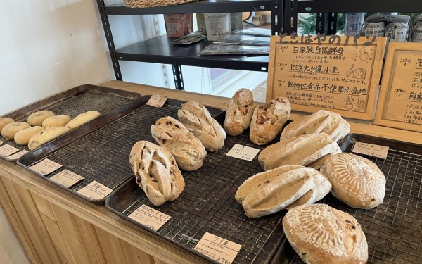 石窯パン処ときはや（北中城村）