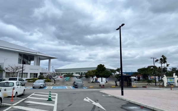 横浜DeNAベイスターズ宜野湾キャンプ(宜野湾市)