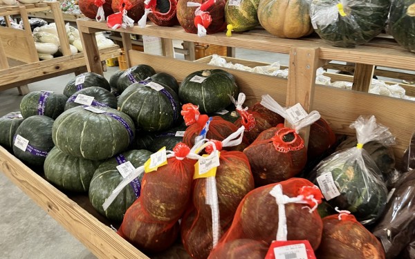 アグリハウスこちんだ（八重瀬町）