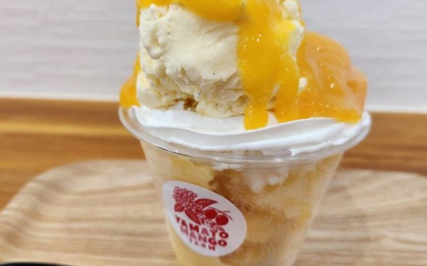 週末だけオープンの美味しいパフェが頂ける店　ヤマトマンゴーファーム　(糸満市)