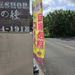 inbound3159032570568176896