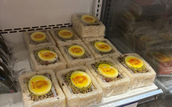 ANA FESTA 那覇ゲート店（那覇市）