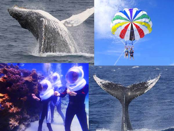 美ら海水族館近く!ホエールウォッチング★事前予約割引(6日前)プラン★