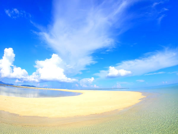 【半日】幻の島上陸・石西礁湖シュノーケルツアー:防水カメラレンタル無料!【送迎付き】